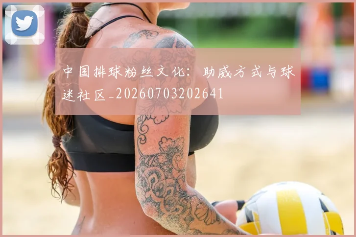 中国排球粉丝文化:助威方式与球迷社区_20260703202641