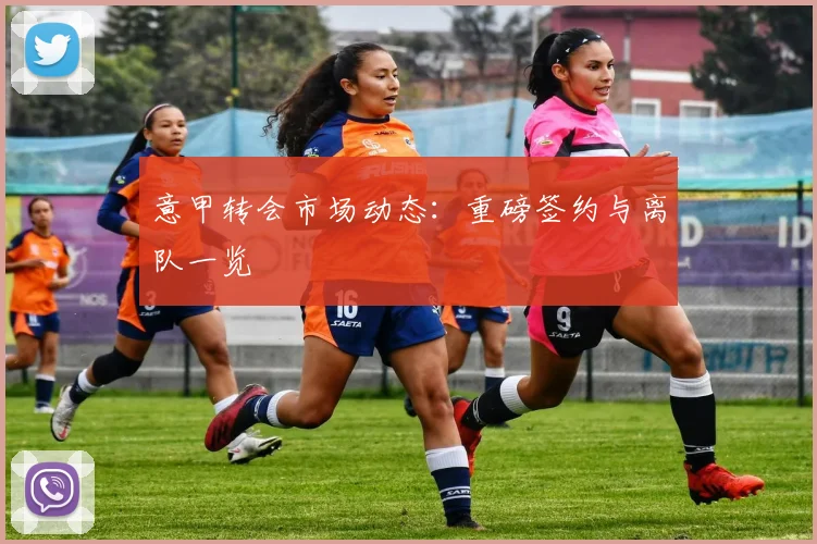 意甲转会市场动态：重磅签约与离队一览