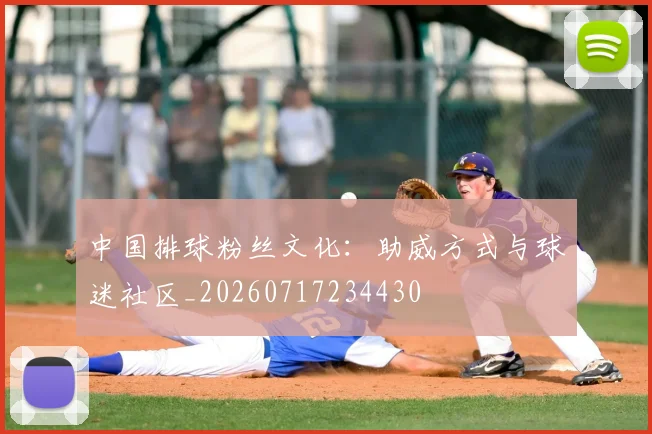 中国排球粉丝文化：助威方式与球迷社区_20260717234430