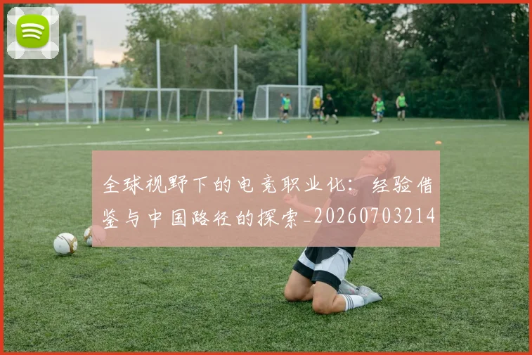 全球视野下的电竞职业化：经验借鉴与中国路径的探索_20260703214427